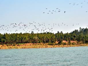 Kendua Jhargram West Bengal